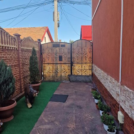 Casa Cojanu Hotel Petrozsény Kültér fotó