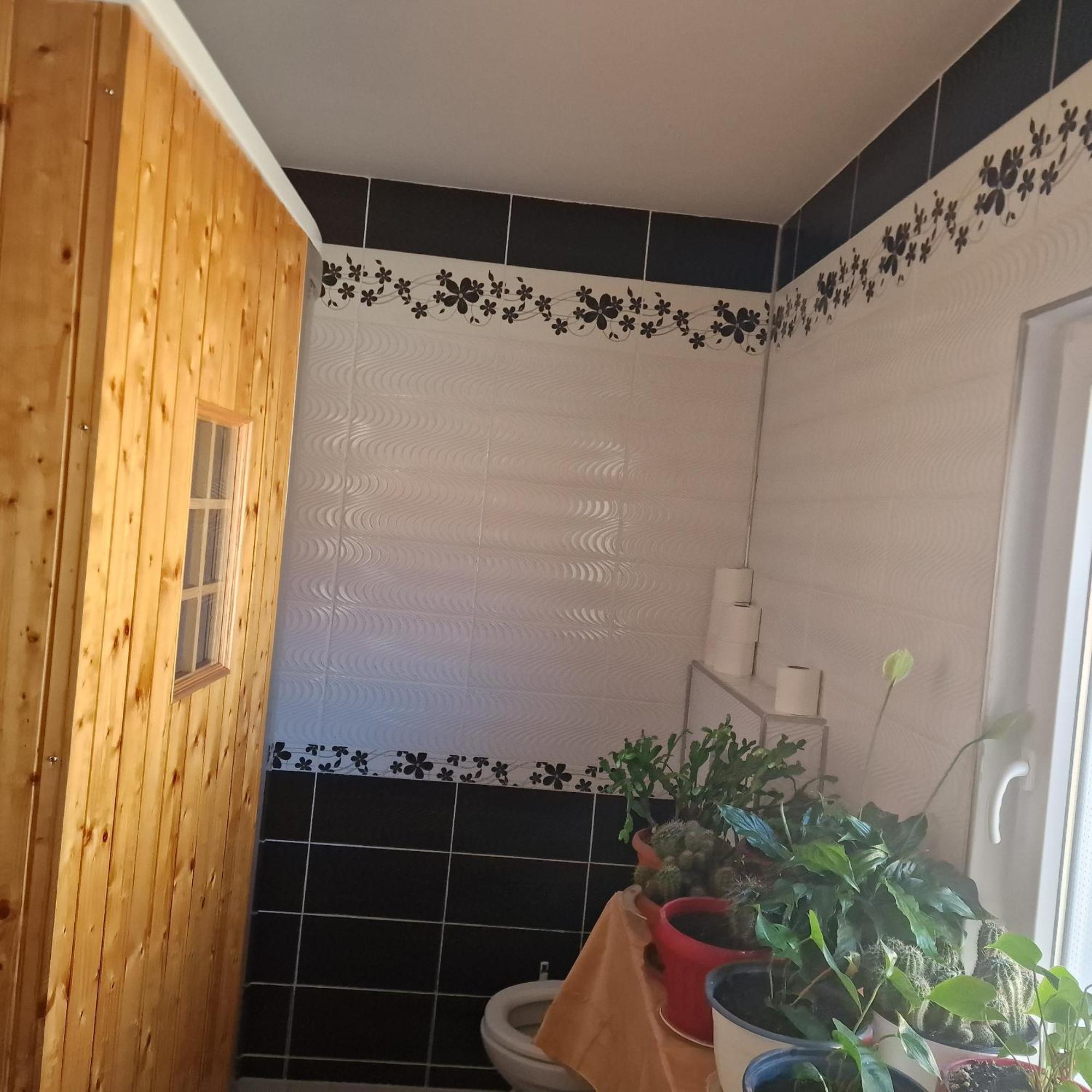 Casa Cojanu Hotel Petrozsény Kültér fotó