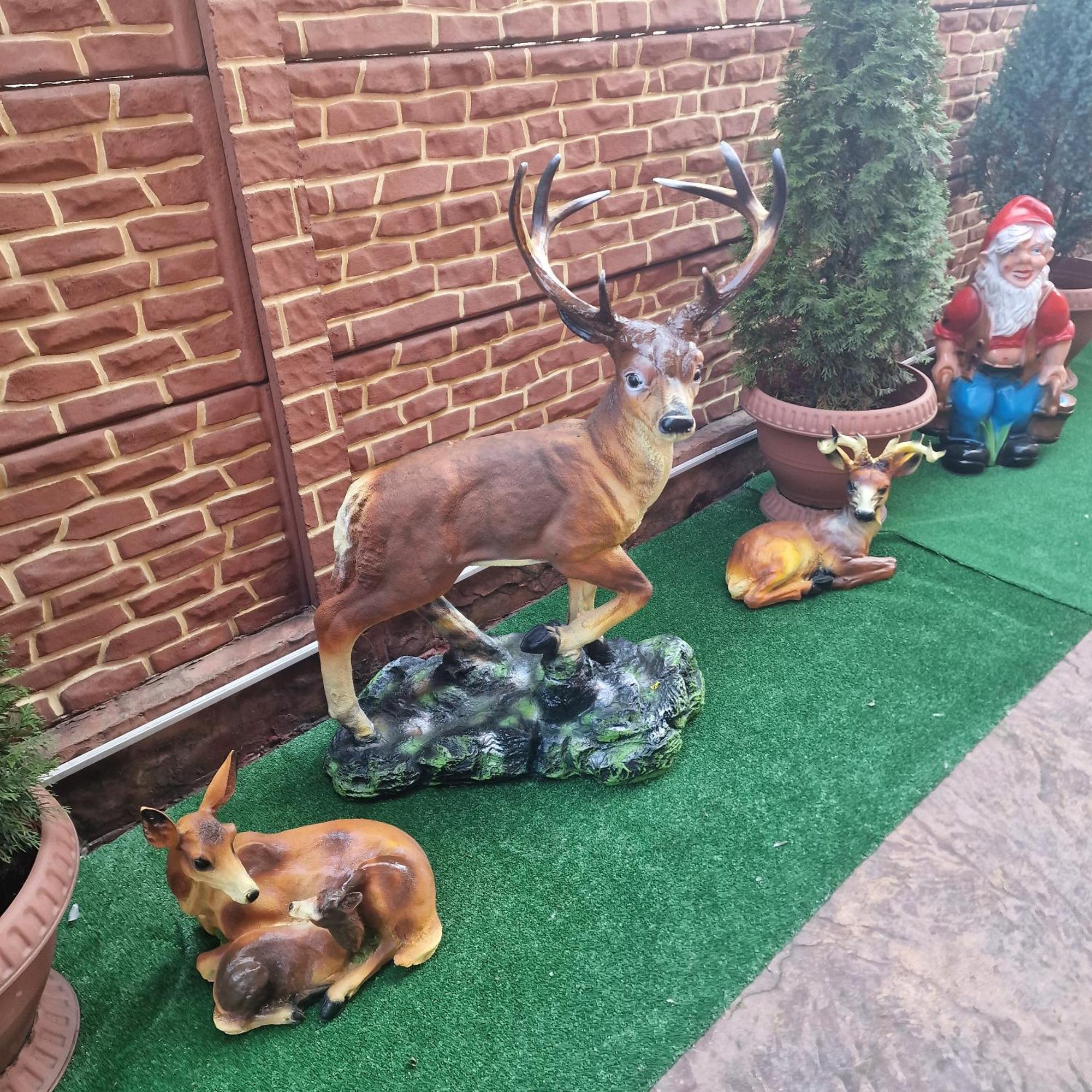 Casa Cojanu Hotel Petrozsény Kültér fotó
