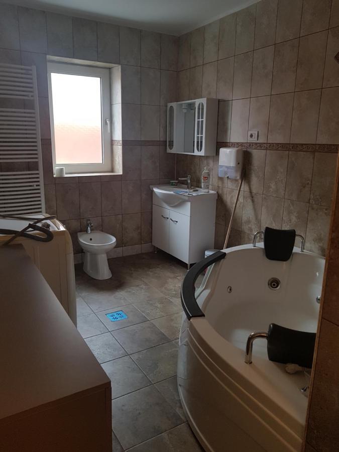 Casa Cojanu Hotel Petrozsény Kültér fotó