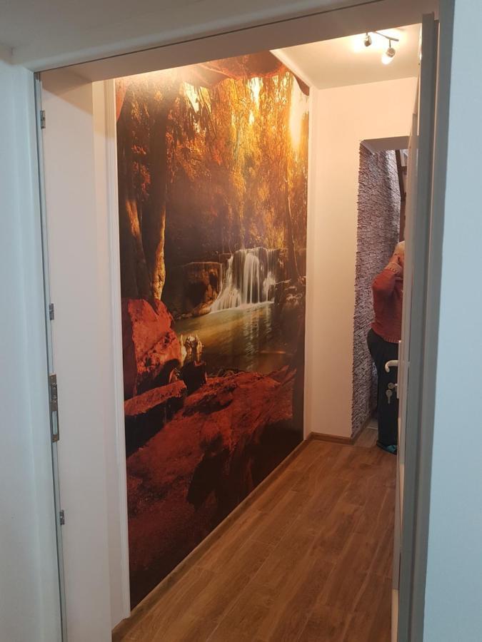 Casa Cojanu Hotel Petrozsény Kültér fotó