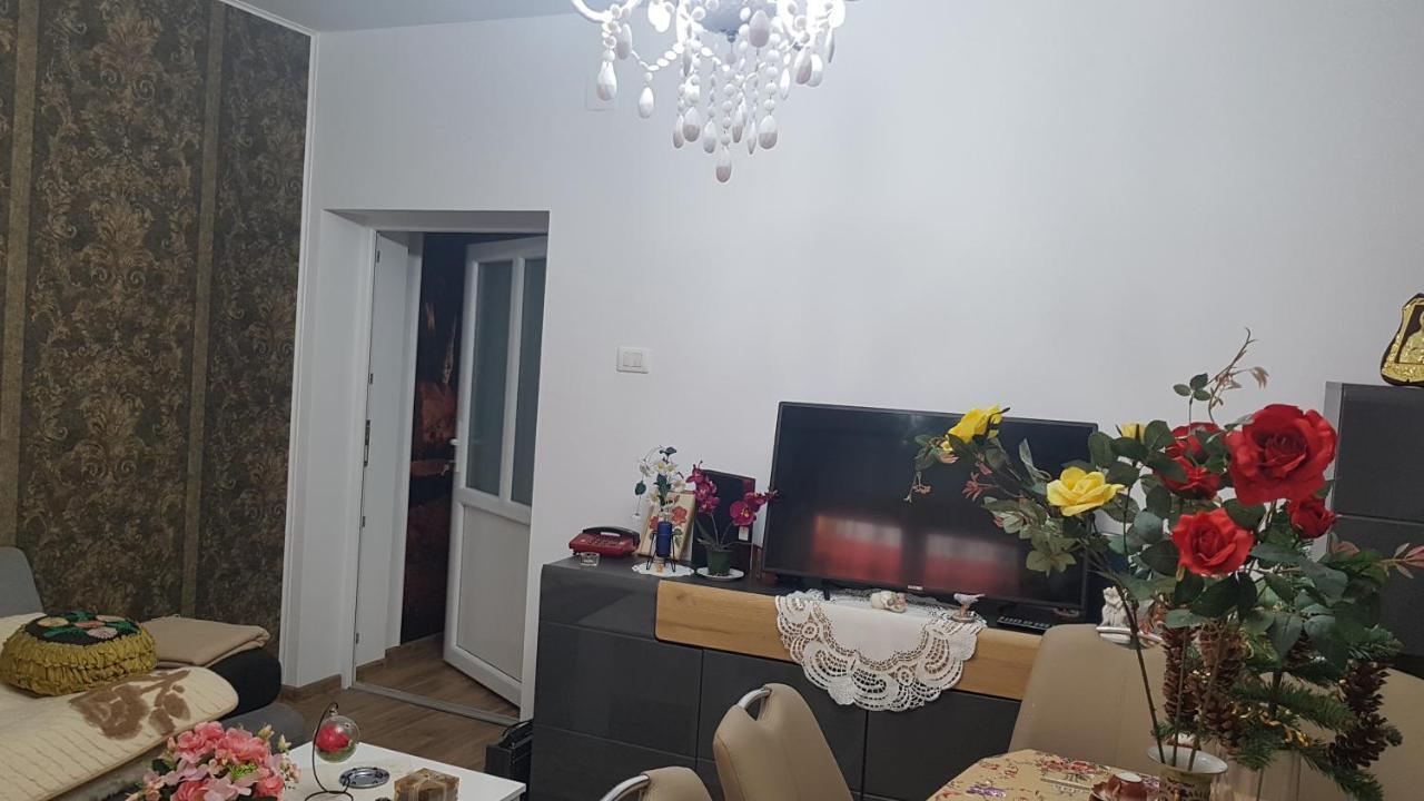 Casa Cojanu Hotel Petrozsény Kültér fotó