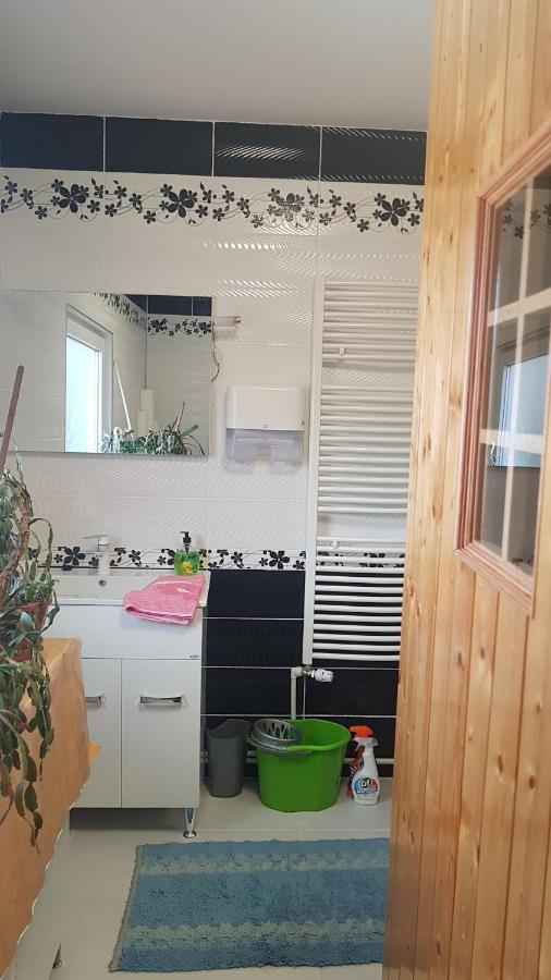 Casa Cojanu Hotel Petrozsény Kültér fotó