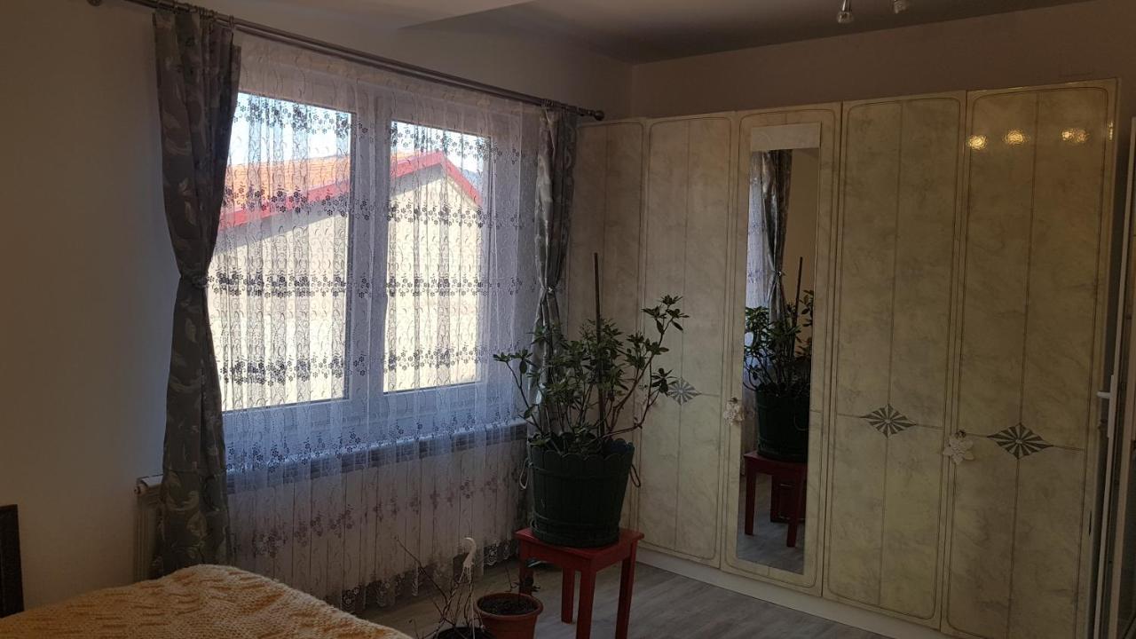 Casa Cojanu Hotel Petrozsény Kültér fotó