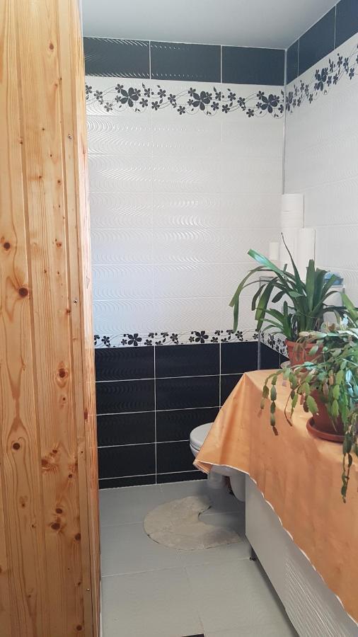 Casa Cojanu Hotel Petrozsény Kültér fotó
