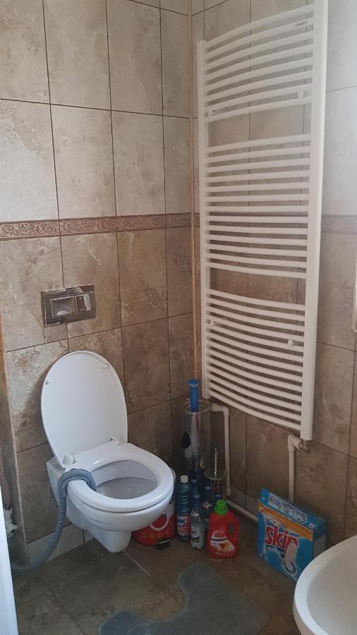 Casa Cojanu Hotel Petrozsény Kültér fotó