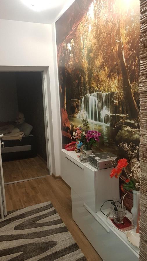 Casa Cojanu Hotel Petrozsény Kültér fotó